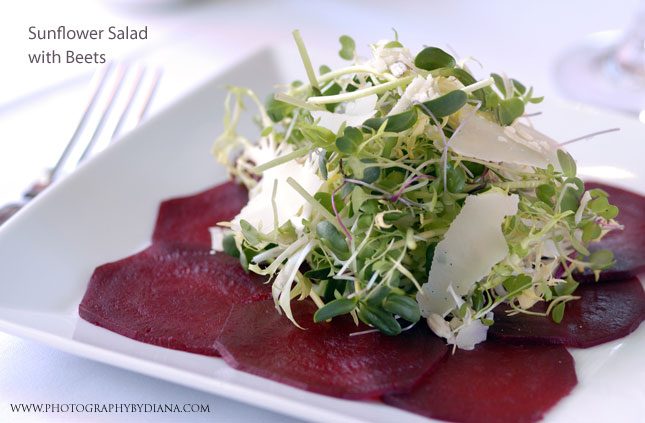 ** This photograph is copyrighted and protected, visit www.photographybydiana.com for more information  **    photo of: Jimmy Bradley Sunflower Salad 